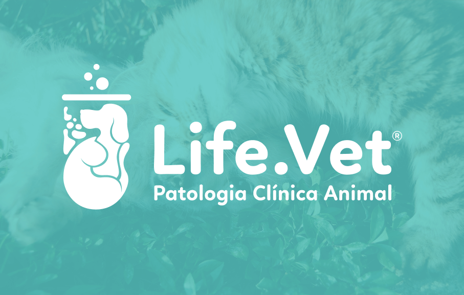 Lifevet